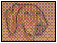 St. Martin Tattoo
Perro Triste
